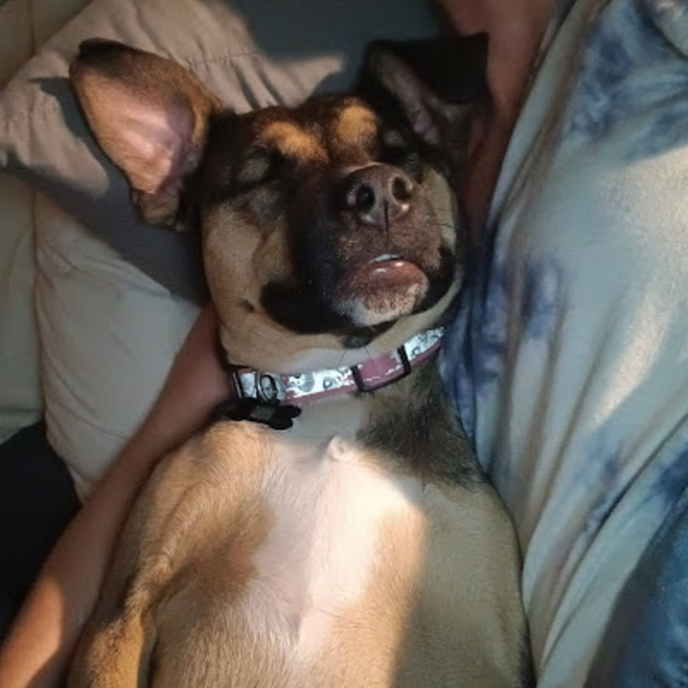 Meet your Posher, April